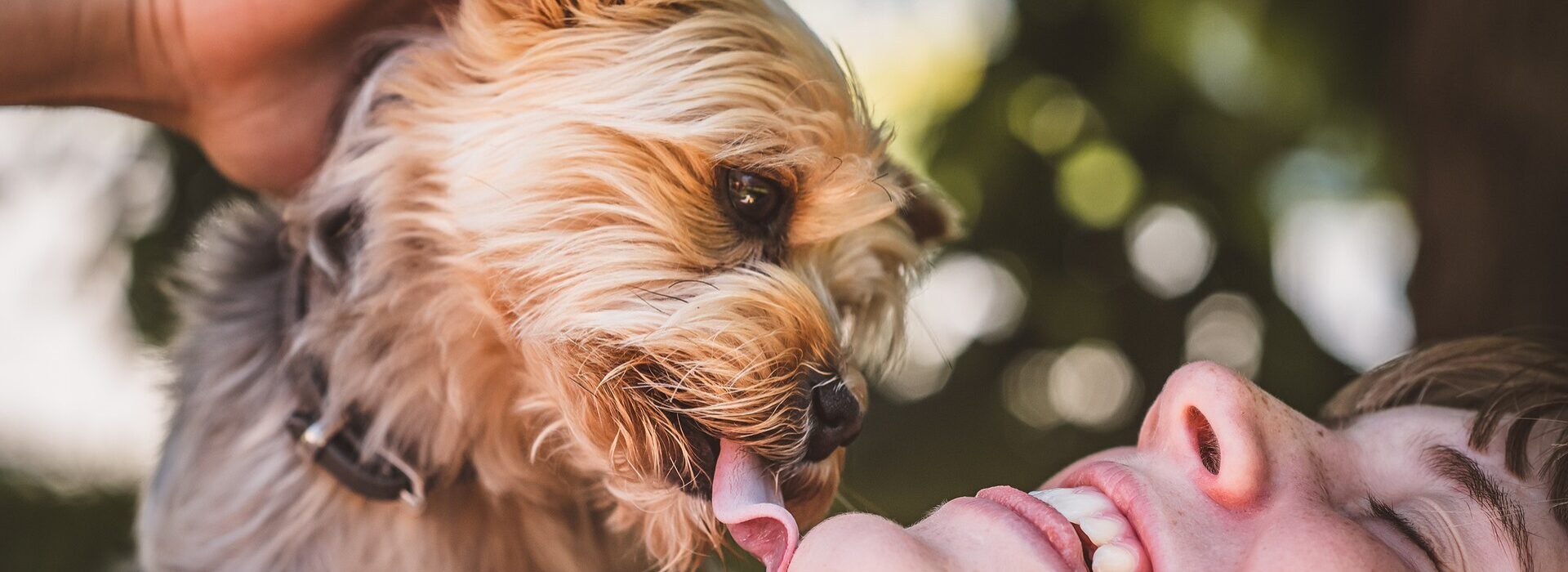 Hipoteca Click Simulador Hipotecario Credito Creditos Hipotecarios Creditaria Advantage